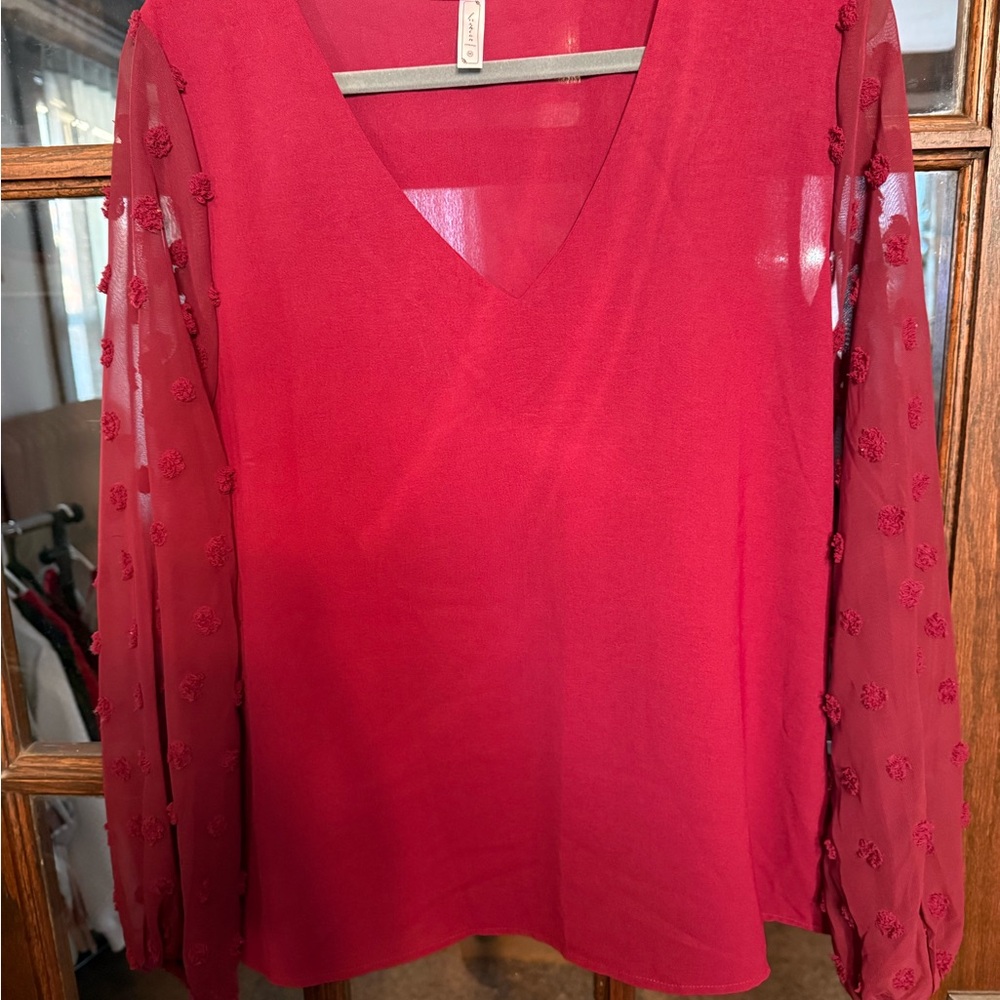 Fashion Collection Red V-Neck Blouse Sheer Swiss Dot Long Sleeve‎ Top Womens M